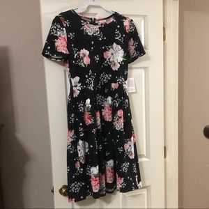 BNWT Lularoe Amelia BEAUTIFUL
